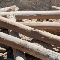 خ ر ی د چوب 4 متری به بالاترین قیمت