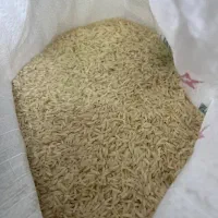 برنج گیلان