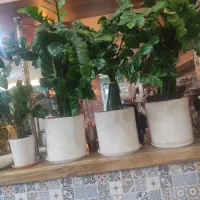 کمک آشپز در محدوده آزادی ۲۴آذر