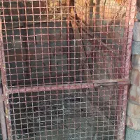 قفس مخصوص انواع پرندع|لوازم جانبی حیوانات|ایرانشهر, |دیوار