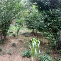 218-متر-زمین-با-سند-تک-برگ