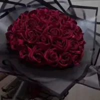 گل روبانی جاودان