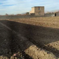 فروش زمین فوری مسجد چوبی