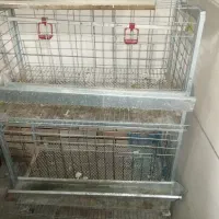 قفس مکانیزه