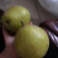 گلابی درگزی و سیب زرد