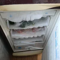 یخچال فریزر|یخچال و فریزر|سنگر, |دیوار