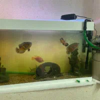 فروش آکواریوم