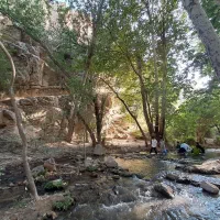 گروه روژ عضویت خانم