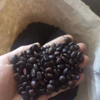 فروش کلی و جزئی قهوه