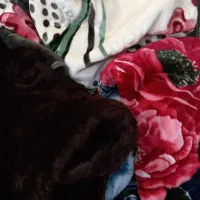 حراج انواع پتو