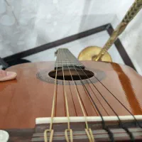 گیتار هافنر کلاسیک|گیتار، بیس، امپلیفایر|تهران, افسریه شمالی|دیوار