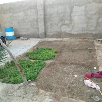 فروش خونه|فروش خانه و ویلا|هامون, |دیوار