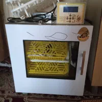 دستگاه جوجه کشی فاخته