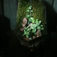 تراریومهای خاص