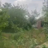 2000-متر-باغ-با-درخت-میوه