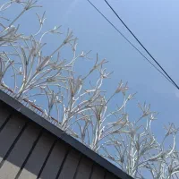 شاخ گوزنی نرده