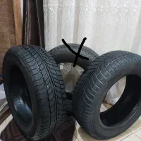 لاستیک سمندی