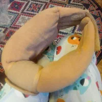 گردنی طبی برای واریس گردن گرفتگی وساییدگی گردن