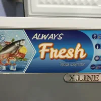 فریزر صندوقی