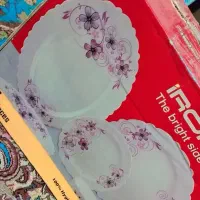 ظروف ایروپال 25 تیکه