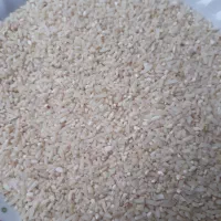 نیم دانه هاشمی|خوردنی و آشامیدنی|رشت, پل تالشان|دیوار