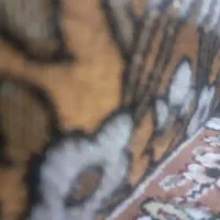 جایی امور خیریه می‌شناسید