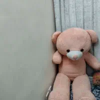 خرس بزرگ