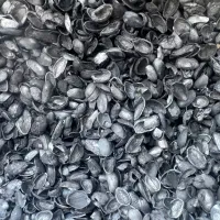 فروش کربن پسته