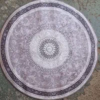 پادری و فرشینه گرد  زیر قیمت بازار تک و عمده