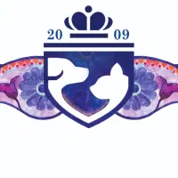 استخدام نیروی خدماتی