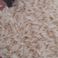 برنج هاشمی دره رود