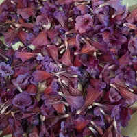 گل گاوزبان امسال