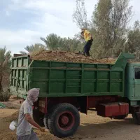 فروش و جابه‌جایی کود حیوانی گاوی بنز ده تن و نیسان