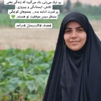 کسب درآمد بدون سرمایه اولیه