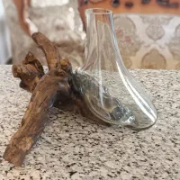 گلهای خاص وارداتی + گلدان دکوراتیو در نهاوند