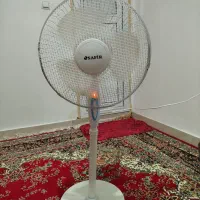 پنکه وگلدان