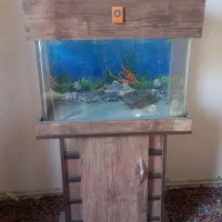 آکواریوم شیشه خم|ماهی|اسلام‌شهر, شهرک امام حسین (میان آباد)|دیوار