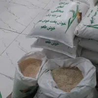 فروشگاه برنج محلی وشالی دمسیاه و فجر و غیره|عمده‌فروشی|آزادشهر, |دیوار