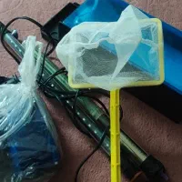 آکواریوم شرکتی یک تیکه|ماهی|قم, بنیاد|دیوار