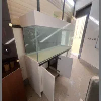 آکواریوم|ماهی|سمنان, |دیوار