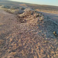 کود مرغ درجه یک