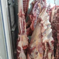 فروش ۲عدد یخچال قصابی و سوپر مارکت با چرخ گوشت