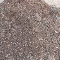 فروش  زل مرغ