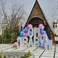 تعیین جنسیت پک کامل اقتصادی