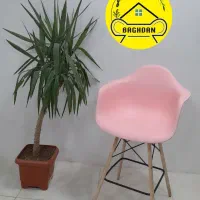 صندلی پلاستیکی نشکن دسته دار کافه مدل ایزی/باغدان|صندلی و نیمکت|چهارباغ, |دیوار