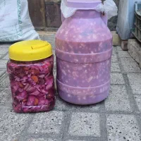 ترشی درجه ۱