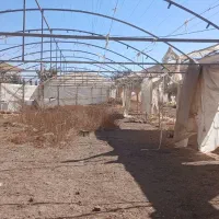 فروش سازه گلخانه|مصالح و تجهیزات ساختمان|مبارکه, |دیوار