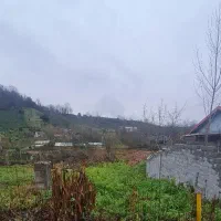 زمین-مسکونی-ویودار