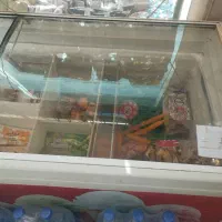 فریزر بستنی جنرال