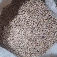 لوبیا دوکپه ای